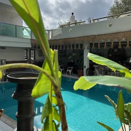 Brera - Special Category 4* 阿拉恰特