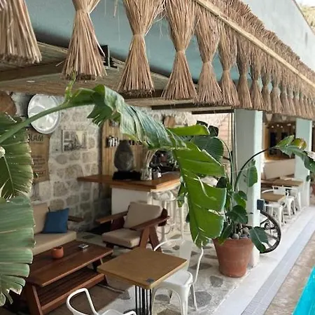 Brera - Special Category