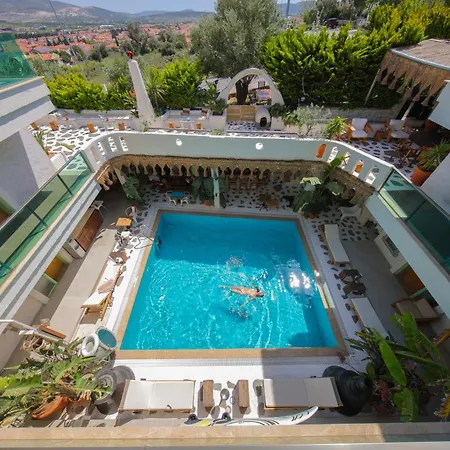 Brera - Special Category 4* 阿拉恰特