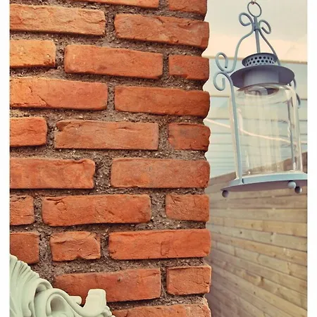 酒店 Brera - Special Category 阿拉恰特