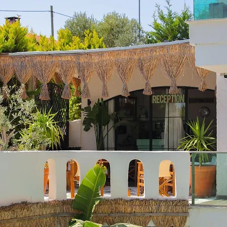 Brera - Special Category 阿拉恰特