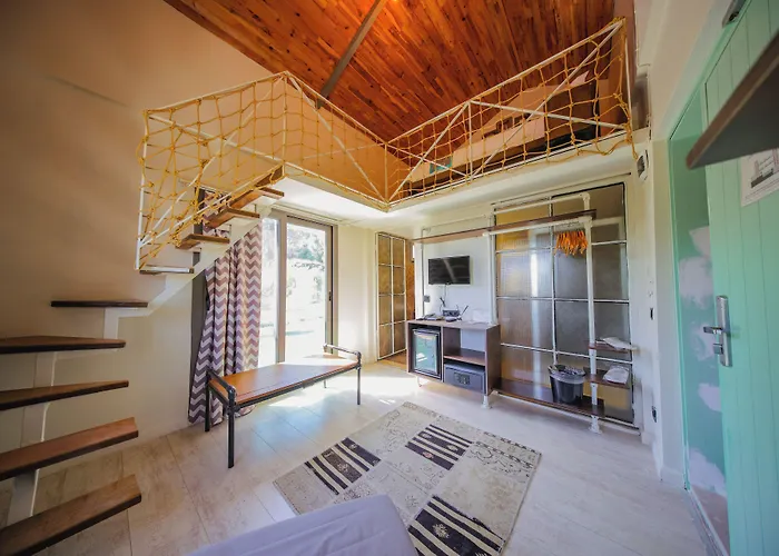 Brera - Special Category