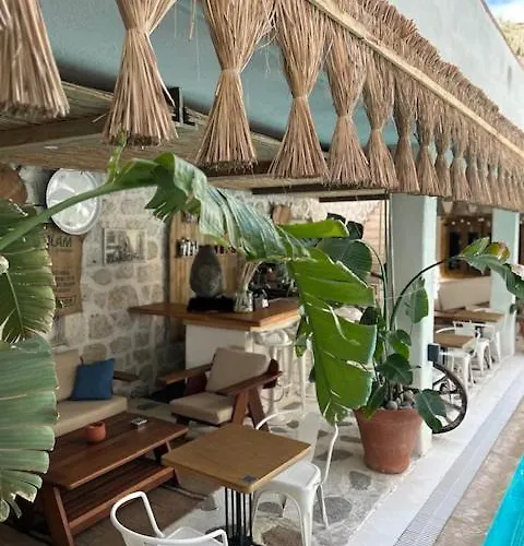 Brera - Special Category